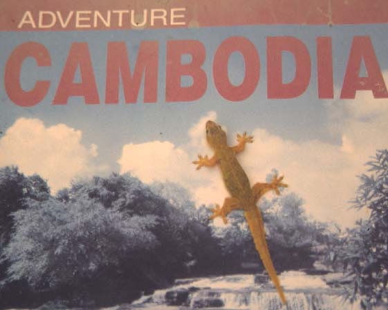 cambodaff.jpg